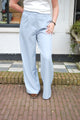 Ambika Gris Pantalon - Blauw